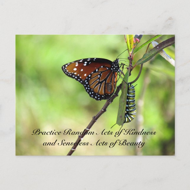 Random Act of Kindness Postcard - Queen Butterfly Vykort (Framsida)