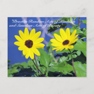 Random Acts of Kindness Postcard- Black Eyed Susan Vykort