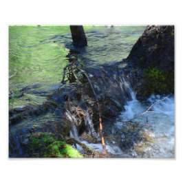 Random Beauty Fototryck