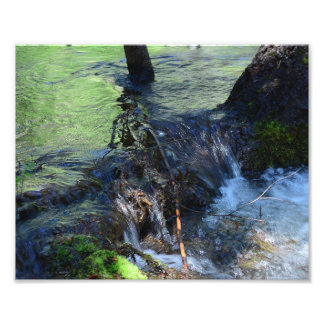 Random Beauty Fototryck