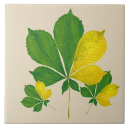 "Rang De Basanti" på en keramik Tile (I) Kakelplatta