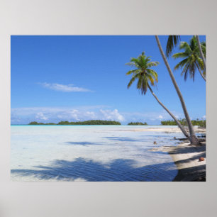Rangiroa Blue Lagoon Handflatan träd Poster