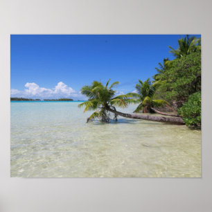 Rangiroa Fransk Polynesien Poster