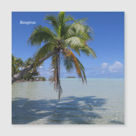 Rangiroa Handflatan Träd