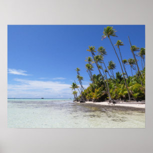 Rangiroa handflatan träd poster