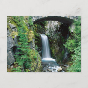 Ranier Nat. Park, Washington 5 Vykort