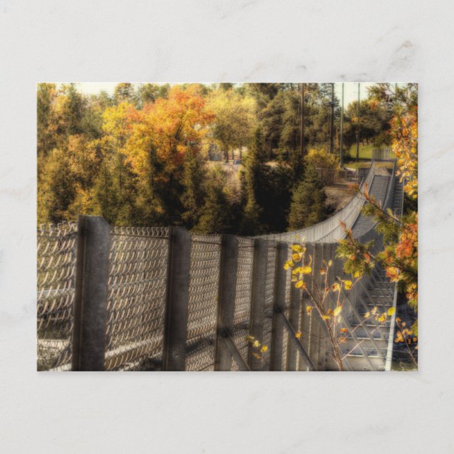 Ranney Gorge Suspension Bridge Vykort (Framsida)