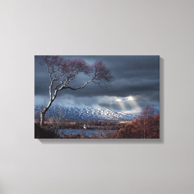 Rannoch Moor Ensamma Trädet Canvastryck (Framsida)