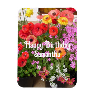 Rannunculus Vår Blommor Blommigt Birthag Magnet