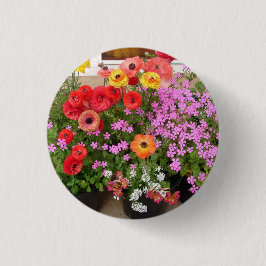 Rannunculus Vår Lökar blommigt Flowers Flower Knapp