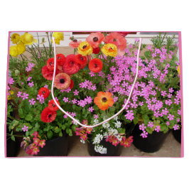 Rannunculus Vår Lökar, födelsedagskaka, förmånslåd