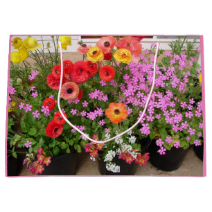 Rannunculus Vår Lökar, födelsedagskaka, förmånslåd