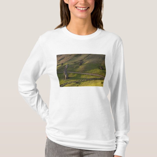 Rano Raraku, Rapa Nui, Påskön, Chile T Shirt (Framsida)
