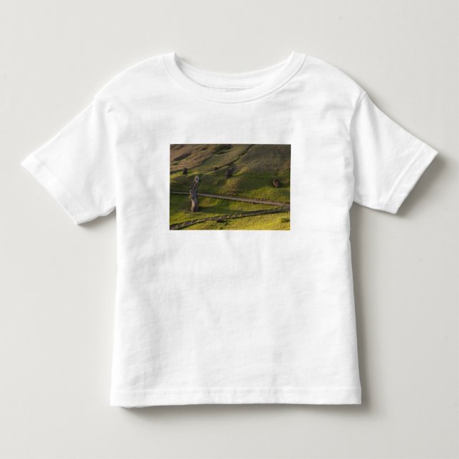 Rano Raraku, Rapa Nui, Påskön, Chile Tröja (Framsida)