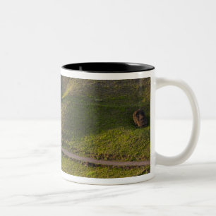 Rano Raraku, Rapa Nui, Påskön, Chile Två-Tonad Mugg