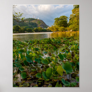 Ranthaliya Lake Kurunegala Sri Lanka Landskapsfoto Poster