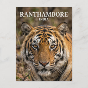 Ranthambore nationalpark Indien Vykort