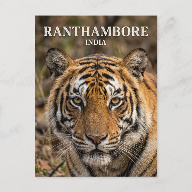 Ranthambore nationalpark Indien Vykort (Framsida)