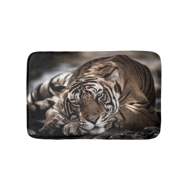 Ranthambore tiger: nära bra konst. badrumsmatta (Framsidan)