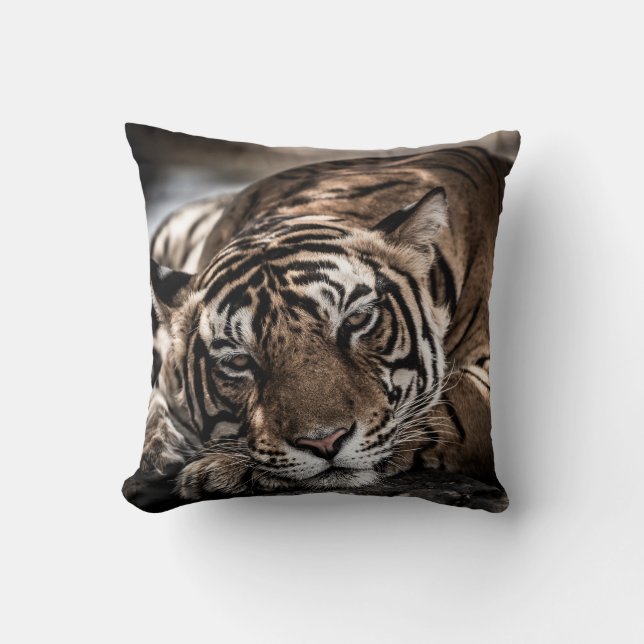Ranthambore tiger: nära bra konst. kudde (Framsida)