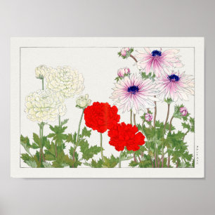 Ranunculus av Tanigami Konan Poster