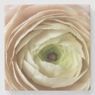Ranunculus Flower Stenunderlägg