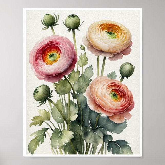 Ranunculus Flowers Handmade Vatten Färg Poster (Framsidan)
