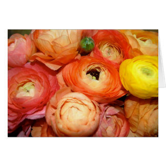 Ranunculus Hälsningskort