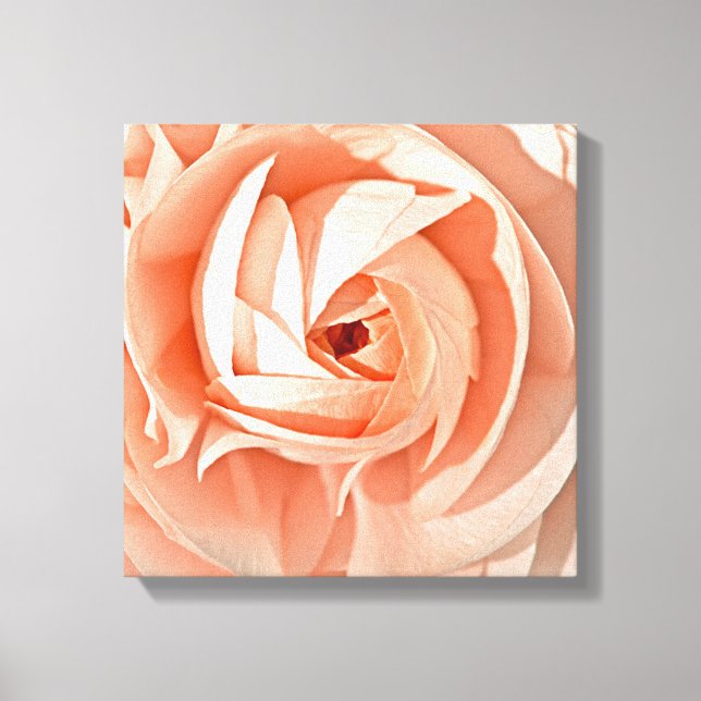 Ranunculus Swirl Canvastryck (Framsida)