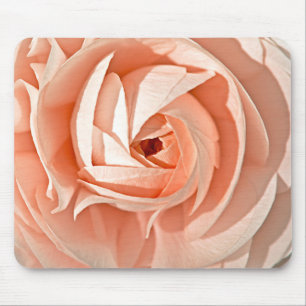 Ranunculus Swirl Musmatta