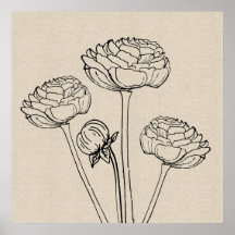 Ranunculus Teckning Canvas Flower Poster