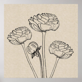 Ranunculus Teckning Canvas Flower Poster