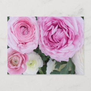 Ranunculus vycard vykort
