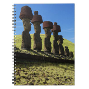 Rapa Nui kulturföremål, påskö Anteckningsbok