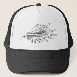 Rapana Seashell Keps