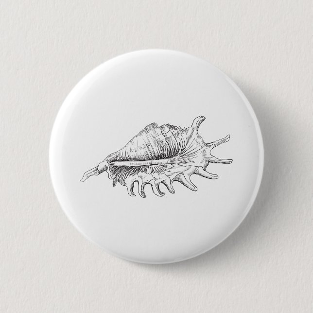 Rapana Seashell Knapp (Framsida)
