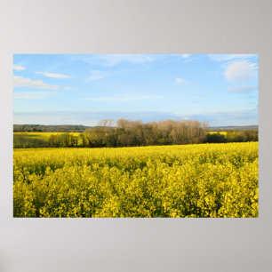 Rapeseed Fält EnCircle the Forest - Personlig Poster