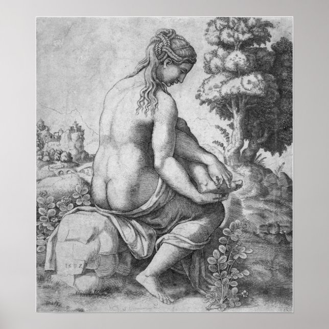 Raphael - Venus som avlägsnar en nagel från hennes Poster (Framsidan)