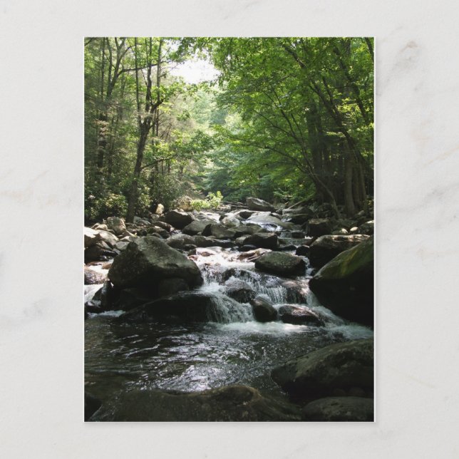 Rapid Vykort (Framsida)