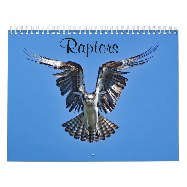 Rapktorer Kalender (Omslag)