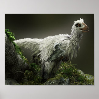 Rapor med fjädrar poster