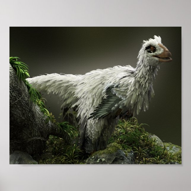 Rapor med fjädrar poster (Framsidan)
