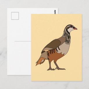 Rapphöna Chukar Fågel Vykort