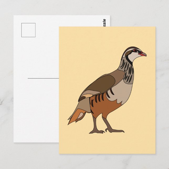 Rapphöna Chukar Fågel Vykort (Fram/baksida)