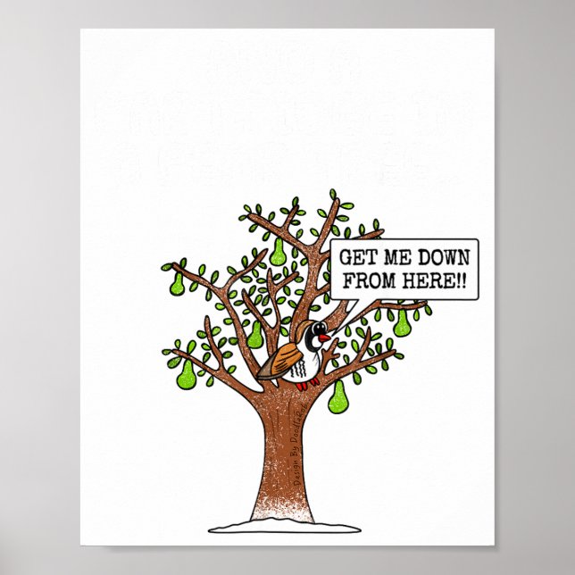 Rapphöna I Ett Päronträd, Julsångsång  Poster (Framsidan)