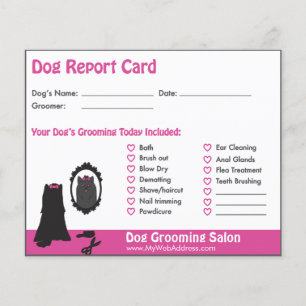 Rapportkort för rosa Hund och Spegel Hund Grooming