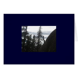 Rapportkort Hälsningskort