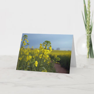 Rapsblommor Kort