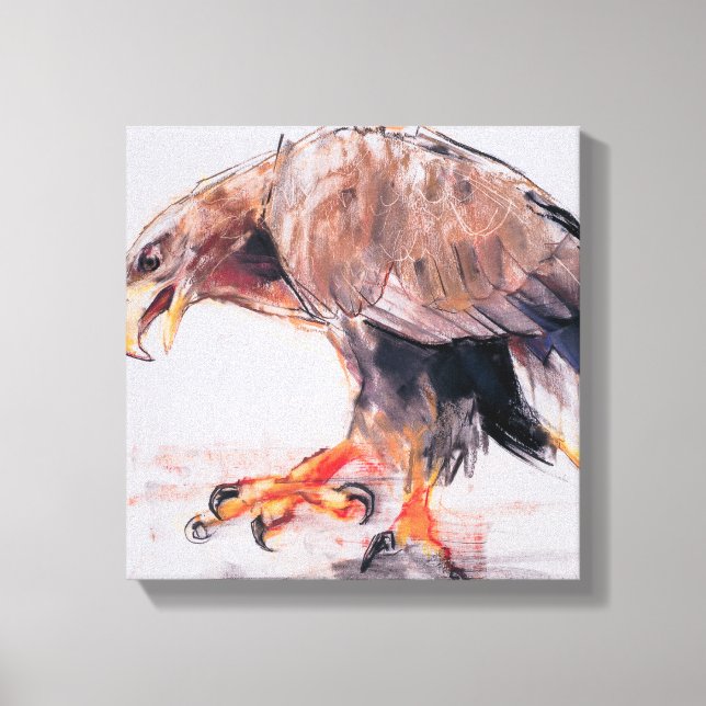 Raptor 2001 canvastryck (Framsida)