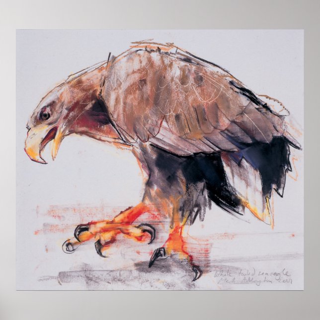 Raptor 2001 poster (Framsidan)